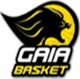盖亚篮球俱乐部 logo