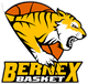 贝内克斯 logo
