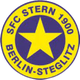 斯坦恩女足 logo