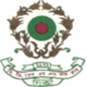 BG普雷斯 logo