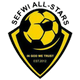 赛夫维全明星FC logo