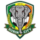 苏林 logo