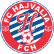 哈哲沃利亚女足 logo