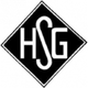霍尔济姆SG logo