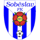 索别斯拉夫 logo