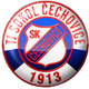 索科尔切乔维奇 logo