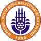 伊斯坦布尔BBU19 logo