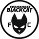 苏拉纳里黑猫 logo